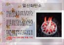 금연프로그램계획서 20페이지