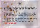 금연프로그램계획서 21페이지