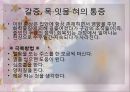 금연프로그램계획서 38페이지