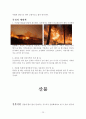 [자연과학의 이해] 환경오염과 자연재해 (대기오염,수질오염,해양오염,토양오염,태풍,황사,가뭄,지진,홍수,화산,산사태,해일,적조/녹조현상,우박,한파,폭설,산불,지구 온난화,산성,스모그) 58페이지