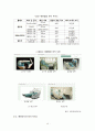 대한항공(Korean Air Lines) 마케팅전략분석과 대한항공 기업분석 및 대한항공 새로운 마케팅,서비스전략 제안 (vs 에어아시아 전략과 비교분석) 10페이지