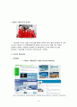 대한항공(Korean Air Lines) 마케팅전략분석과 대한항공 기업분석 및 대한항공 새로운 마케팅,서비스전략 제안 (vs 에어아시아 전략과 비교분석) 19페이지
