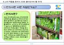 직업탐구(한의사).pptx 5페이지