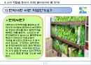 직업탐구(한약사).pptx 5페이지