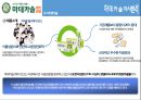 [마데카솔 마케팅전략 (A+)] 동국제약 마데카솔(madecassol) 기업선정이유/자사분석/마데카솔역사와 캠페인/경쟁사분석(후시딘)/SWOT/4P/STP전략.pptx 14페이지