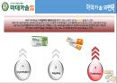 [마데카솔 마케팅전략 (A+)] 동국제약 마데카솔(madecassol) 기업선정이유/자사분석/마데카솔역사와 캠페인/경쟁사분석(후시딘)/SWOT/4P/STP전략.pptx 29페이지