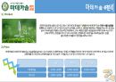 [마데카솔 마케팅전략 (A+)] 동국제약 마데카솔(madecassol) 기업선정이유/자사분석/마데카솔역사와 캠페인/경쟁사분석(후시딘)/SWOT/4P/STP전략.pptx 30페이지