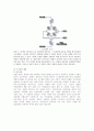 [기초전자공학] 센서(광센서, 근접센서, 로드셀) 실험 - 관련 이론 및 근접센서의 활용 11페이지