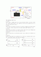 [기기분석] 열분석법 중 DSC (Differential Scanning Calorimetry(dsc))측정 10페이지