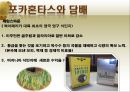 [경제사] 포카혼타스와 서양인구증가.pptx 8페이지