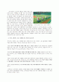 도미노피자의 스포츠 마케팅 - 기업이미지 향상을 위한 스포츠 마케팅 사례와 성공요인 “맛과 재미를 동시에”  3페이지