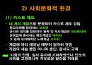 인도 조사 - 인도의 주생활과 주거형태 11페이지