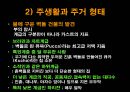 인도 조사 - 인도의 주생활과 주거형태 46페이지