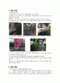 생물학 실험 -세포 배양(cell culture) 4페이지