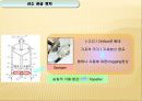 생물공학 설계 -산소와 빛을 중점화한 Bioreator 설계 4페이지