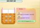 생물공학 설계 -산소와 빛을 중점화한 Bioreator 설계 13페이지