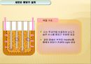 생물공학 설계 -산소와 빛을 중점화한 Bioreator 설계 15페이지