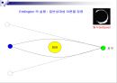 자연과학 -아인슈타인의 상대성이론 (Theory of Relativity)에 관해서 28페이지