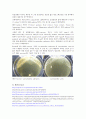 낙농미생물학 및 실험-Use of selective(획선평판법) & differential Media(분별배지) 3페이지