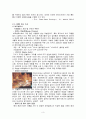 스페인 여행계획서 3페이지