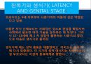 [아동 발달 과제] 이론가 발달심리학자 조사발표 - 지그문트 프로이드(Sigmund Freud).ppt 20페이지