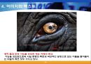 소비문화와 상품문화 ppt 17페이지