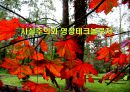 사실주의와 영상테크놀로지.ppt 1페이지