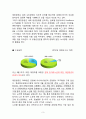 대한항공(Korean Air)과 아시아나(Asiana Airlines)의 전략적 제휴 경쟁 3페이지