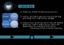 현대 자동차의 인도와 유럽의 광고 전략 ppt 4페이지