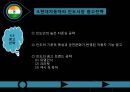 현대 자동차의 인도와 유럽의 광고 전략 ppt 15페이지