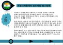 현대 자동차의 인도와 유럽의 광고 전략 ppt 18페이지
