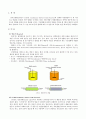 연속교반탱크반응기 (CSTR : Continuous Stirred Tank Reactor) (목적, 이론, 실험 장치, 실험 방법, 실험 결과) 1페이지