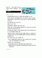 밀리오레 유통전략론  7페이지