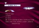 롯데 ‘자일리톨’ 광고분석  30페이지