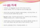 서사극  13페이지