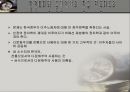 탈 영토화된 공간에서의 다문화주의 - 문제적 상황과 의미화 실천  30페이지