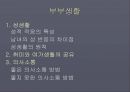 혼외 관계  24페이지