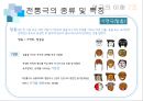 한국의 마당극 & 한국의 전통극 19페이지