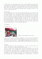 [Global Marketing] [Out Back steak 사례][국내 패밀리레스토랑] 11페이지