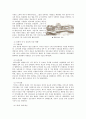  Ⅱ. 현대간호의 출현과 성장, 발달 2. 적십자의 창설과 그 영향 ~ 5. 미국의 간호 6페이지
