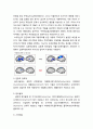 ADHD와 아동기 정신건강- ADHD의 개념과 특징 및 원인, ADHD의 경과와 예후 및 치료방법과 인지행동 훈련, ADHD의 강점과 ADHD 관리의 예 6페이지