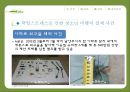 [정신건강론]청소년기 학업 스트레스 - 개념정의(학업 스트레스, 청소년, 신체화증상), 학업 스트레스로 인한 문제(신체화증상, 청소년자살, 청소년비행) 및 대책방안 19페이지