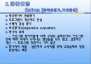 교육평가의 모형 - 목표중심모형, 판단모형, 의사결정 촉진 모형, 교육평가 모형의 비교.pptx 11페이지