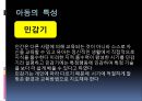 [유아교육학자]몬테소리 - 몬테소리의 소개와 생애, 몬테소리의 아동관, 몬테소리의 교육내용, 몬테소리의 환경관, 몬테소리의 교사관과 부모관, 몬테소리교육의 의의 8페이지