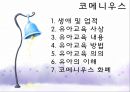 [유아교육학자] 코메니우스(Comenius) - 코네니우스의 생애와 업적, 유아교육 사상과 내용, 유아교육 방법과 의의, 유아의 이해 및 코메니우스 화폐.pptx 2페이지