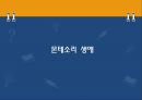 [유아수학교육]몬테소리 소개 - 몬테소리의 생애, 몬테소리 교육의 목적과 목표 및 환경, 몬테소리 교육의 내용(감각영역, 일상생활영역, 수학영역, 언어영역, 문화영역), 교육이론 9페이지