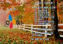 CJ GLS의 물류시스템과 물류혁신 ppt 2페이지
