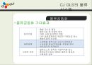 CJ GLS의 물류시스템과 물류혁신 ppt 10페이지