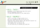 CJ GLS의 물류시스템과 물류혁신 ppt 19페이지