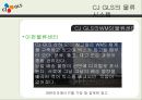 CJ GLS의 물류시스템과 물류혁신 ppt 25페이지